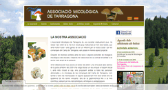 Desktop Screenshot of micotarraco.com